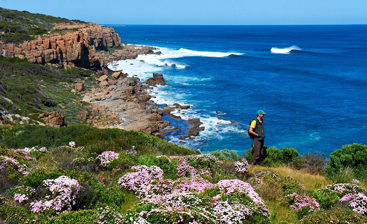 Cape to Cape Track Margaret river