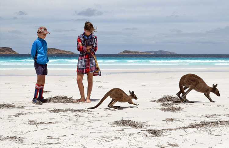 Lucky Bay beach with Kangaroos