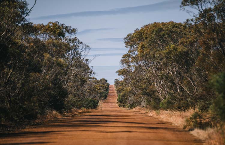 Red dirt roads around Espernance