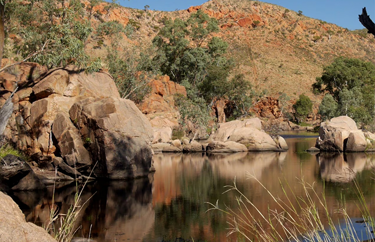 Larapinta Trail