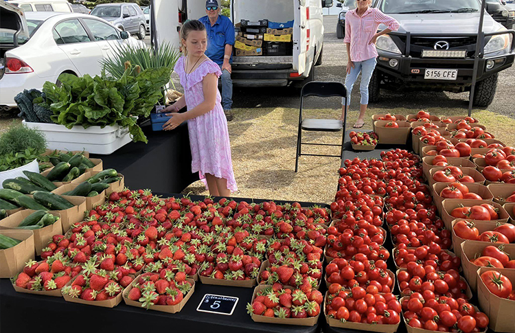 Kingscote market strawberries