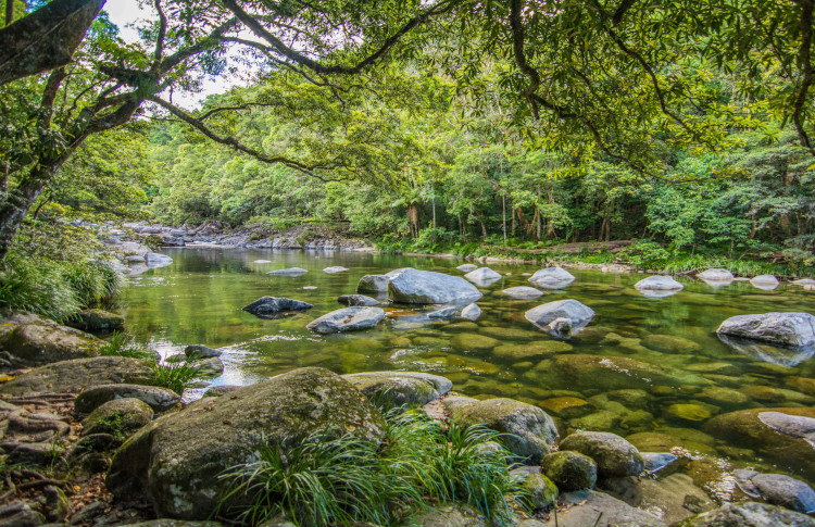 Daintree River
