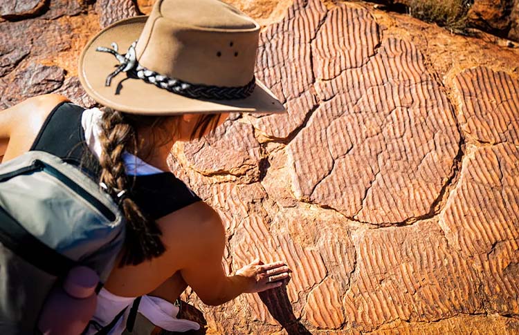 Kakadu Aboriginal Rock Art