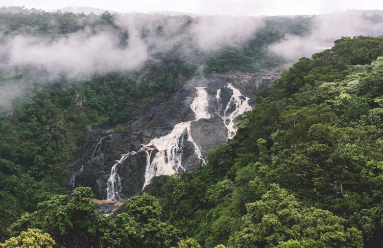 Barron Falls (Din Din) Credit: Tropical North Queensland