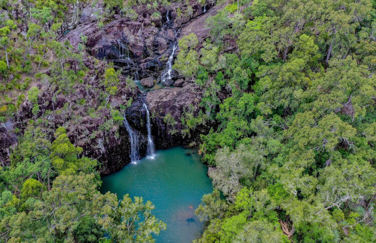 Cedar Creek Falls Credit: Queensland