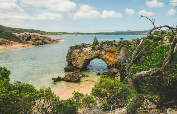 Flinders Island Credit: Discover Tasmania