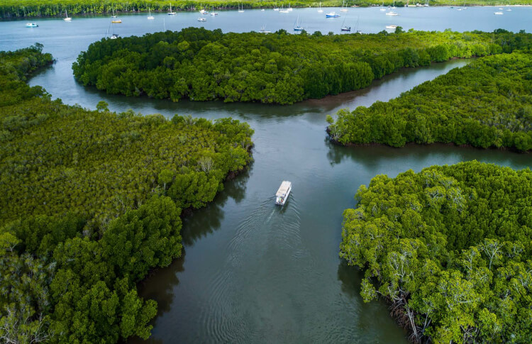 Mandingalbay Authentic Indigenous Tours Cairns