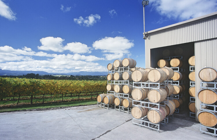 Melbourne Wine Hop and Coastal Tours