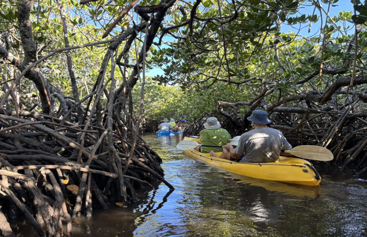 Epic Ocean Adventures Noosa Kayak Tour