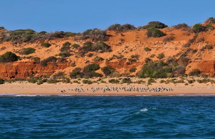 Costal Western Australia