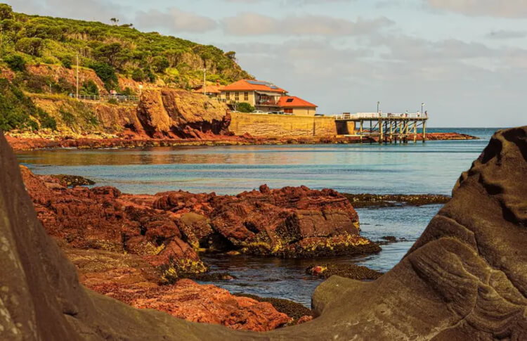 Merimbula Restaurant Credit: Intrepid Travel