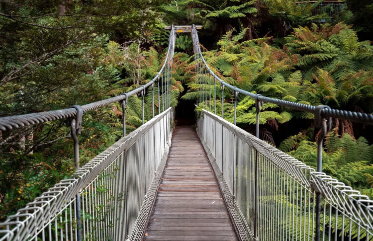 Corrigan Suspension Bridge Credit: Intrepid Travel