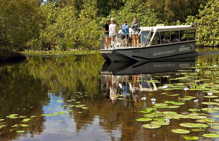 Noosa Everglades Cruise