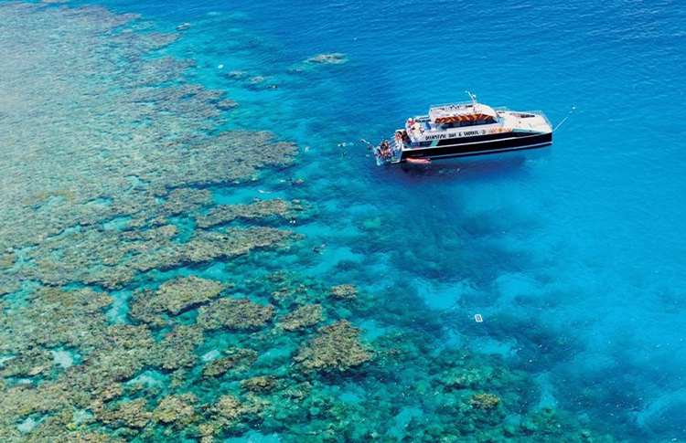 Dreamtime snorkel Great Barrier Reef