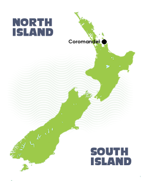 Coromandel