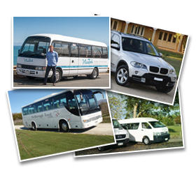 First Light Travel Fleet