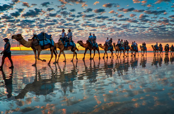 Sunset camel ride at Cable beach