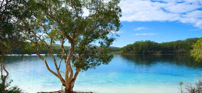 Fraser Island 