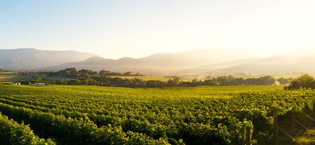 Yarra Valleya