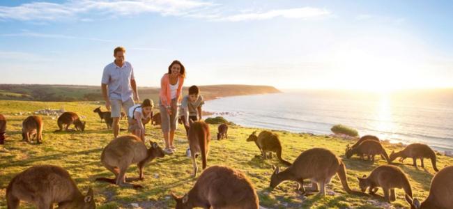 Kangeroo Island