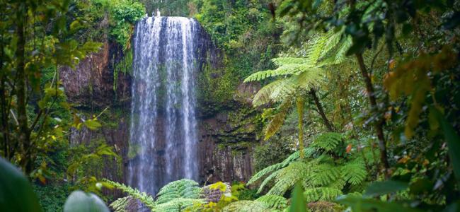 Atherton Tablelands