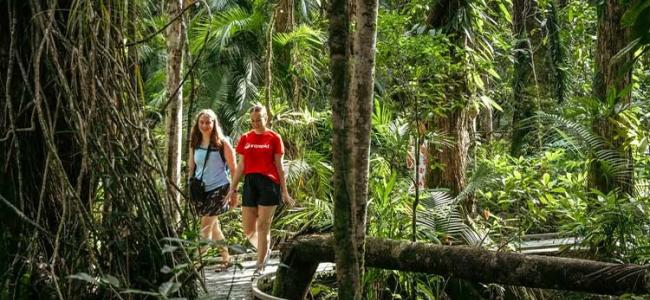 Cape Tribulation