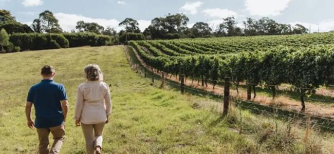 Barossa Valley