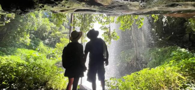 Dorrigo National Park Credit: Intrepid Travel