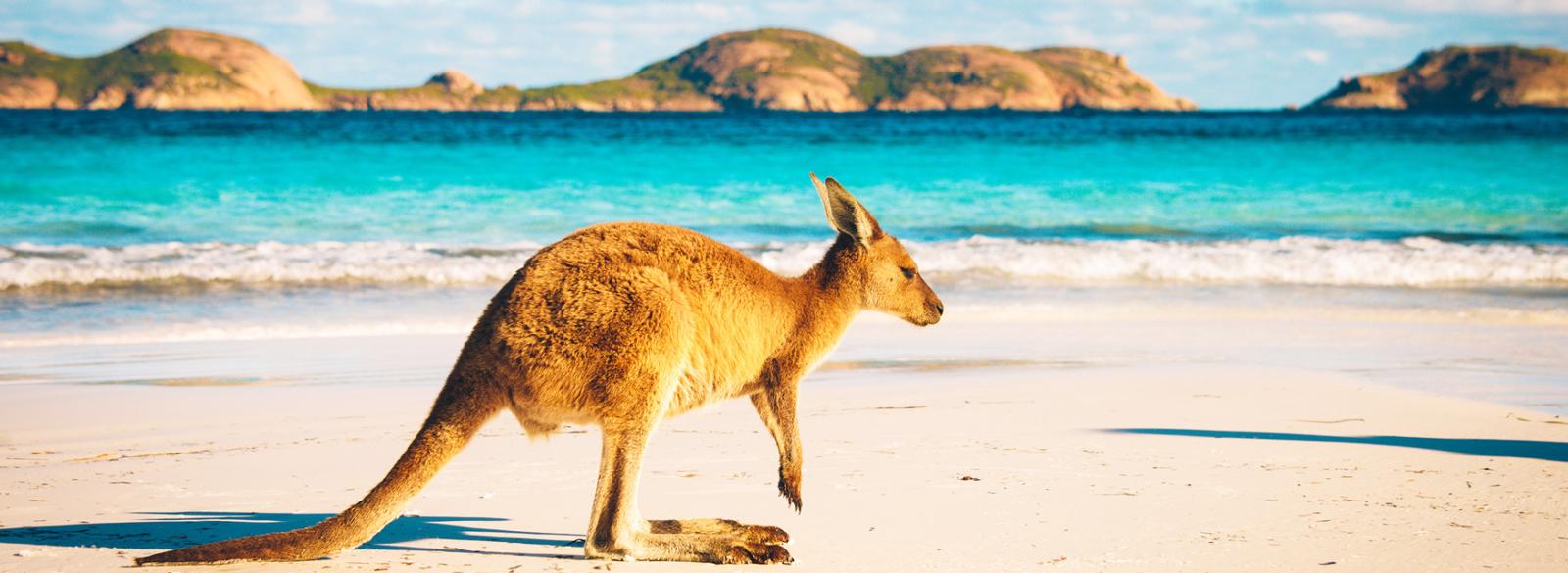 1 week Australian Tours