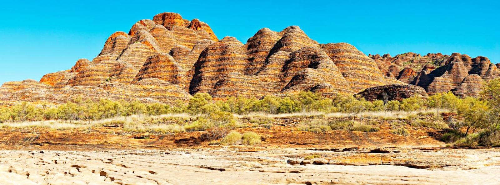 Untamed Kimberley
