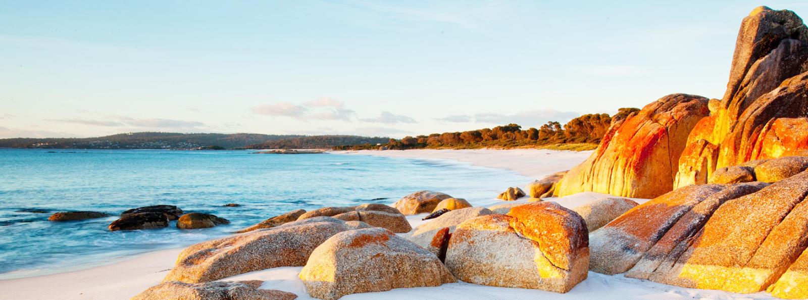 Tasmania's Footsteps and Trails