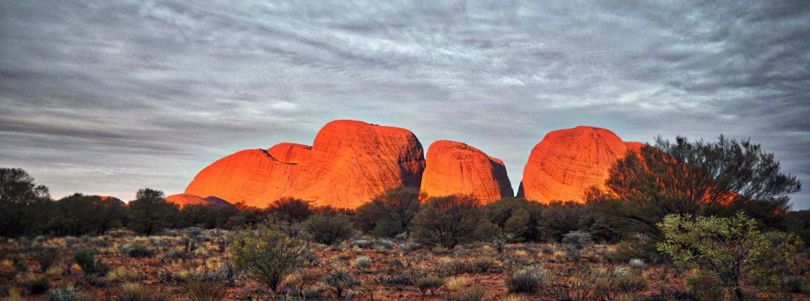 Outback Contrasts – A Journey to the Centre Itinerary