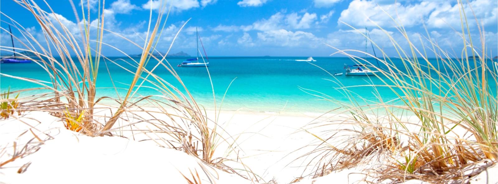 The Whitehaven Beach