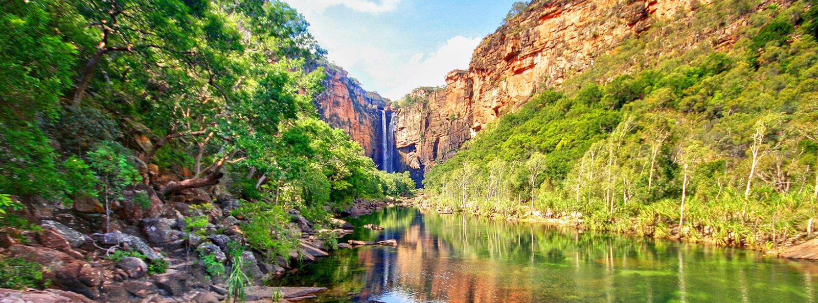 Kakadu