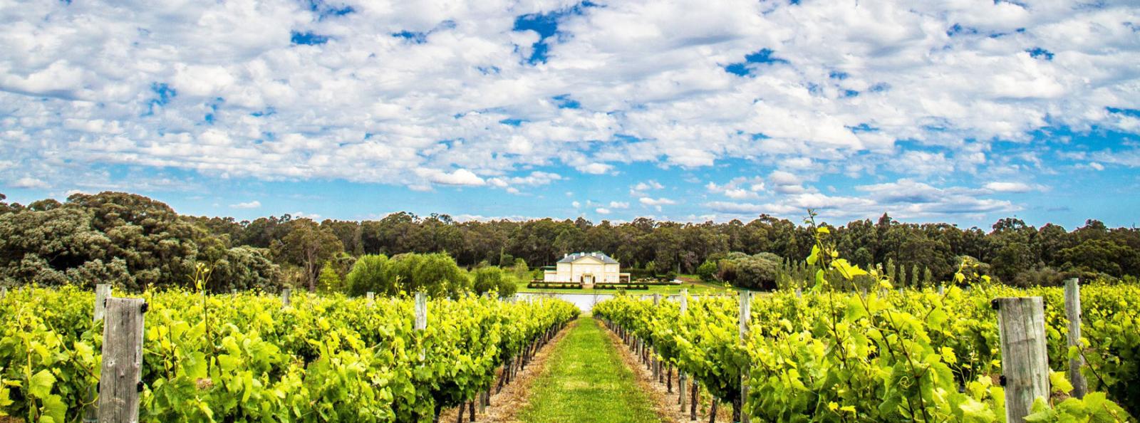 South West's Vineyards & Coast Itinerary 