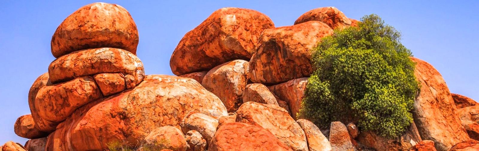 Private Australian Tour