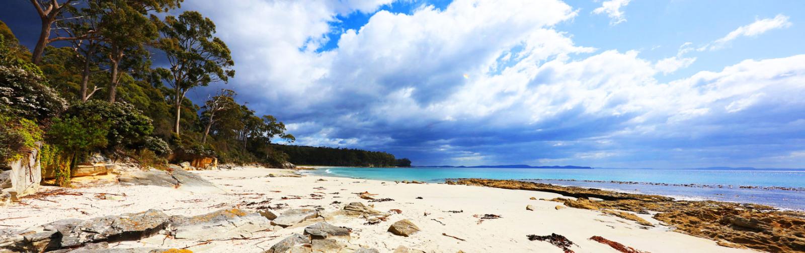 Bruny Island visitor guide