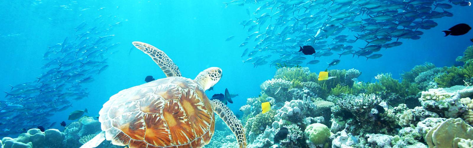 11 Day Port Douglas and Cairns itinerary