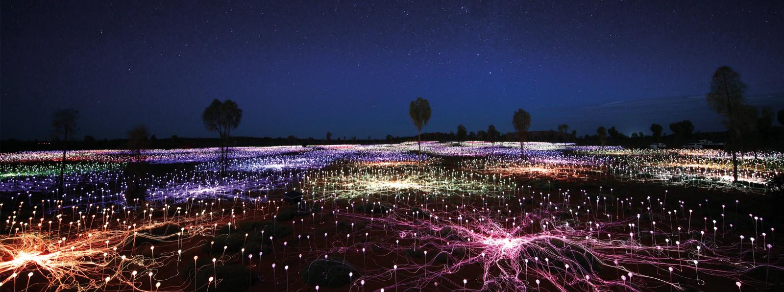 Field of Light