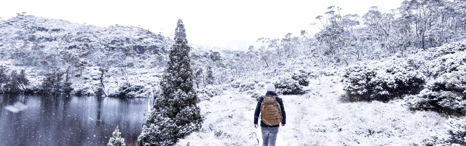 winter Wonderland Tour