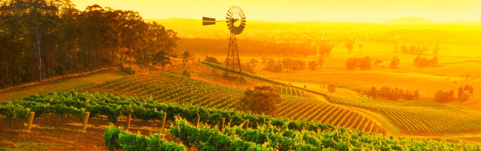 Sydney and Surrounds Road Trip Itinerary