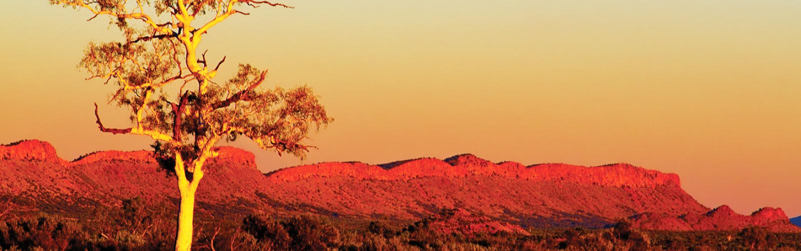 13 Day Alice Springs to Darwin Road Trip Itinerary