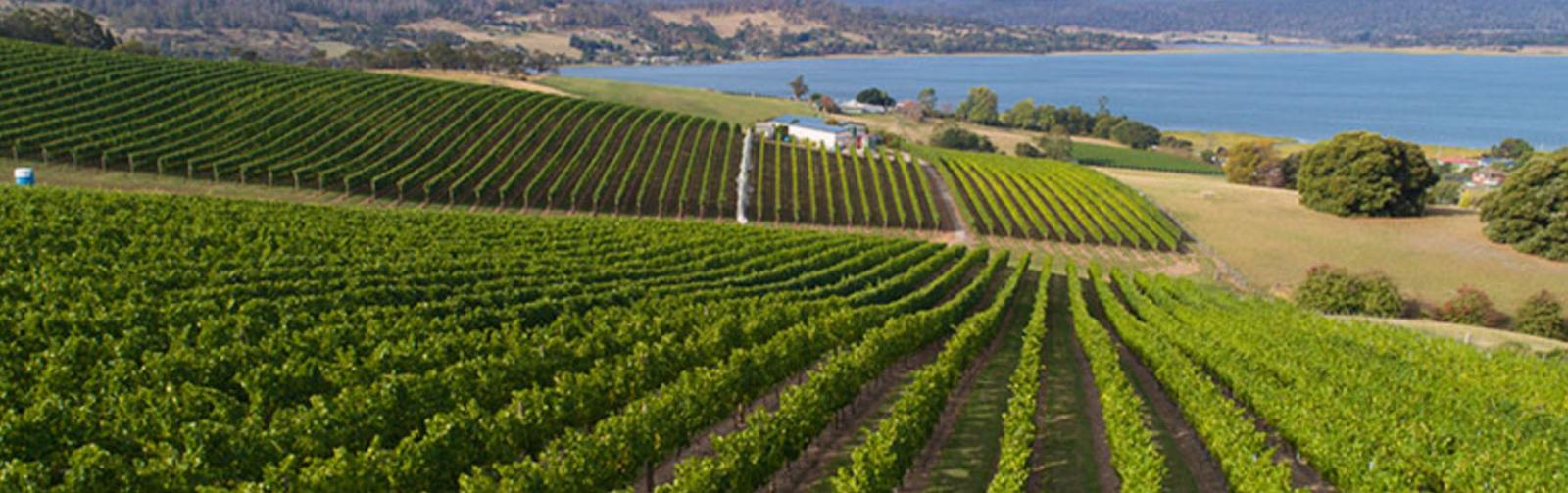 The complete guide to visiting the Cradle Coast and North West wine region of Tasmania