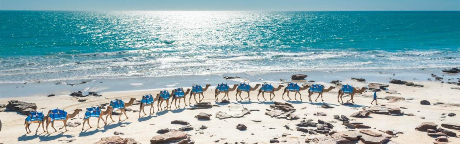 Cable beach tours by camel