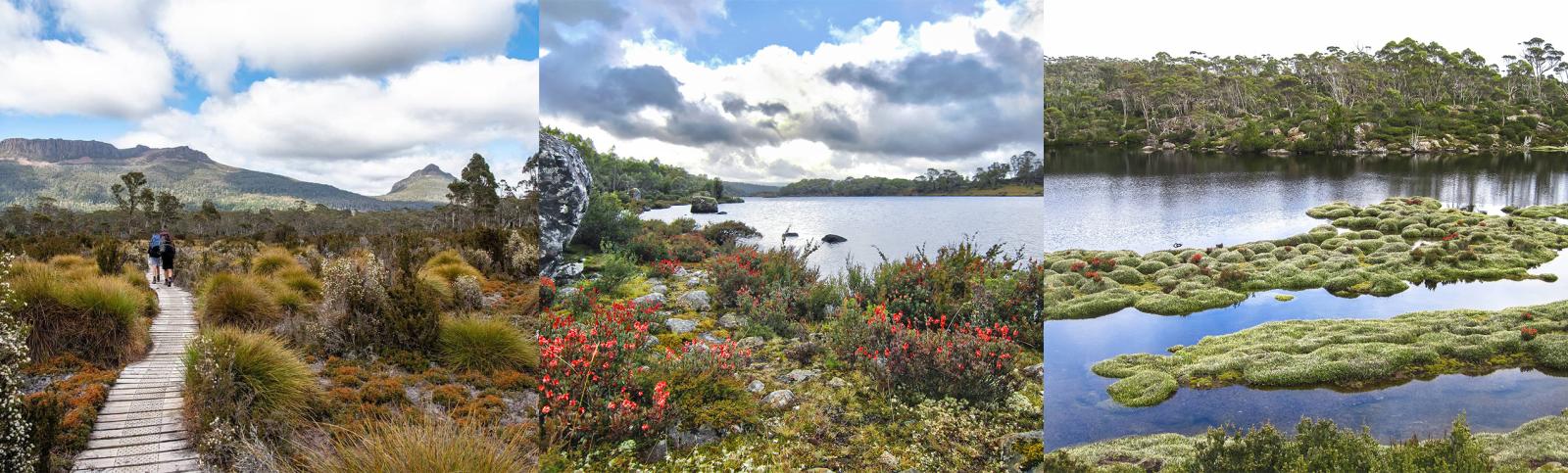 Cradle Mountain 8 Facts