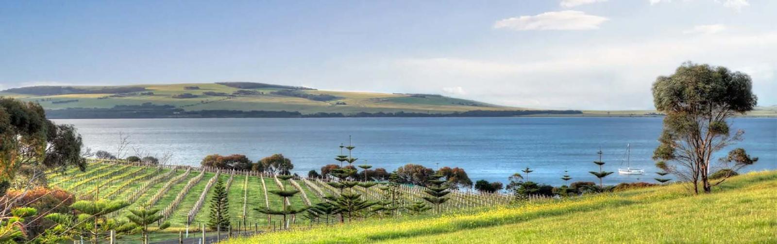 Kangaroo Island Wineries