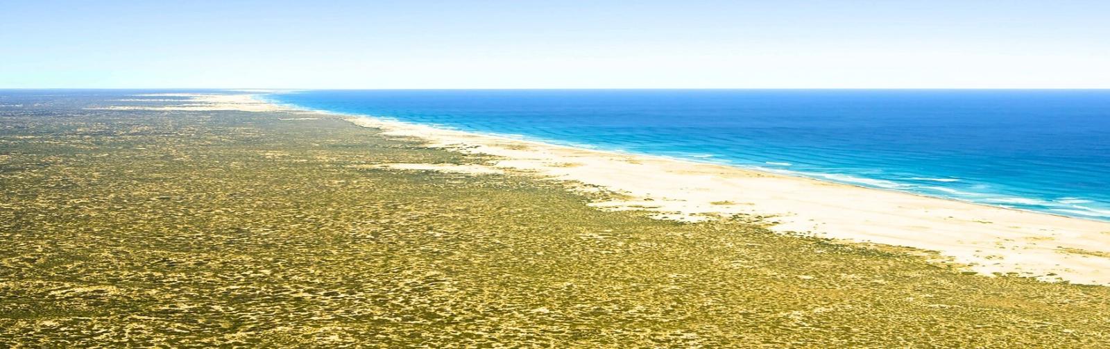 Nullabor Coastline