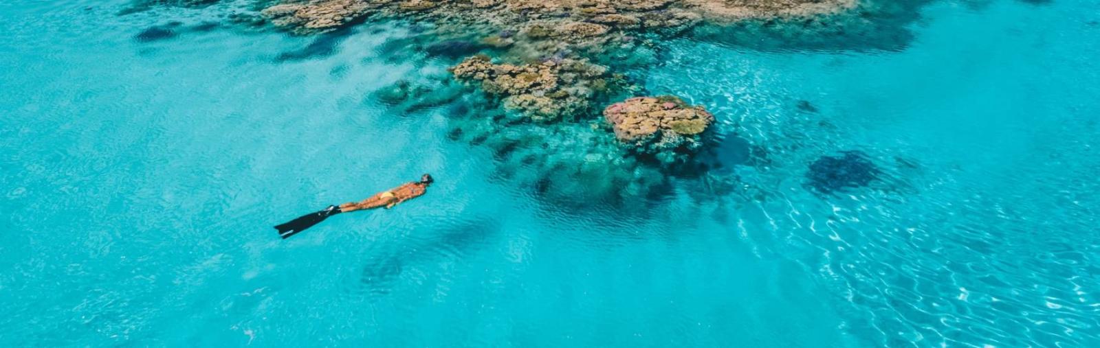 Pearl Expeditions - Pristine Rowley Shoals