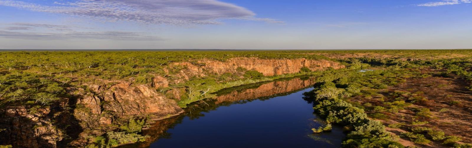 Pungalina Hero