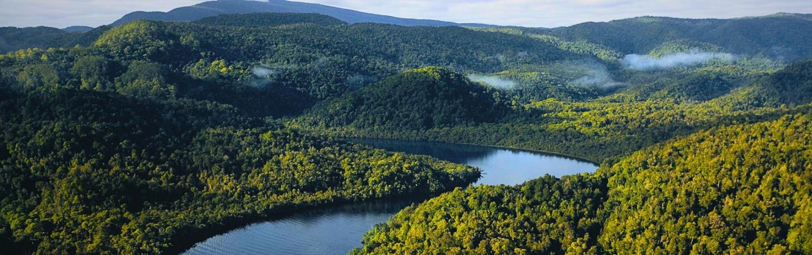 Tasmanian Wilderness Hero